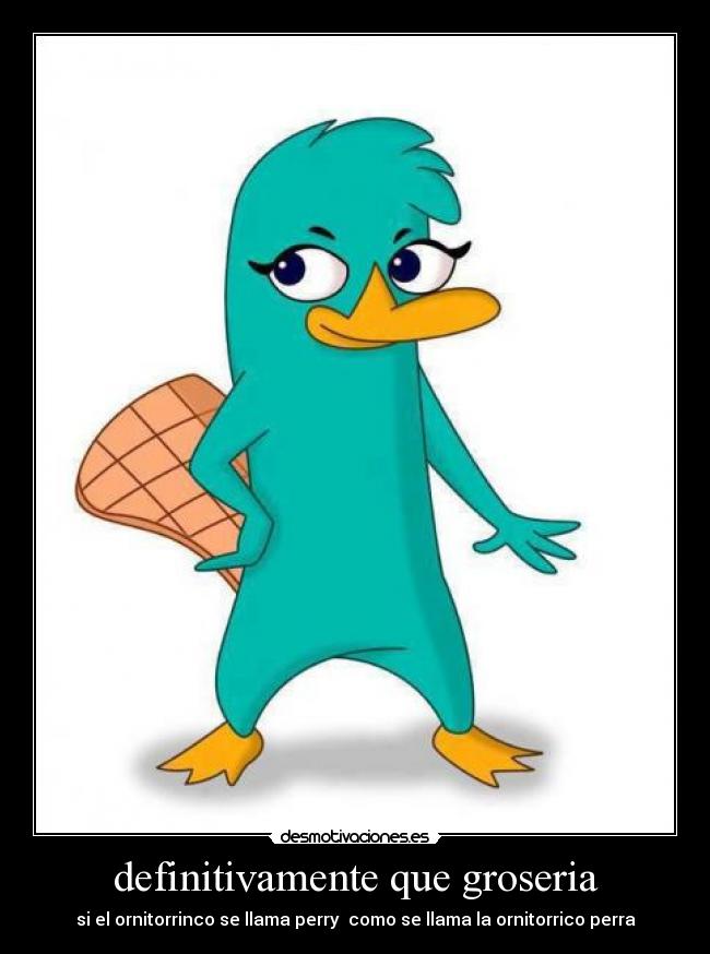 definitivamente que groseria -