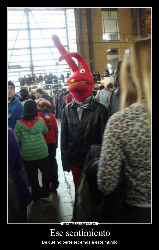 Ese sentimiento -