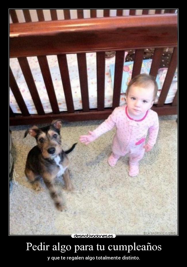 Pedir algo para tu cumpleaños - y que te regalen algo totalmente distinto.