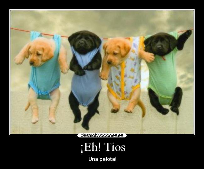 ¡Eh! Tios - Una pelota!