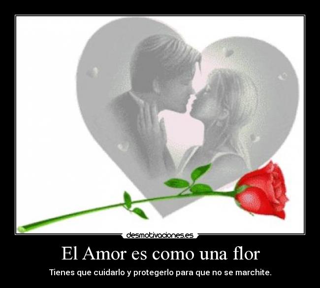 El Amor es como una flor Desmotivaciones