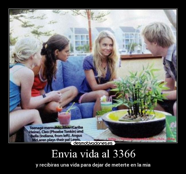 Envia vida al 3366 - 