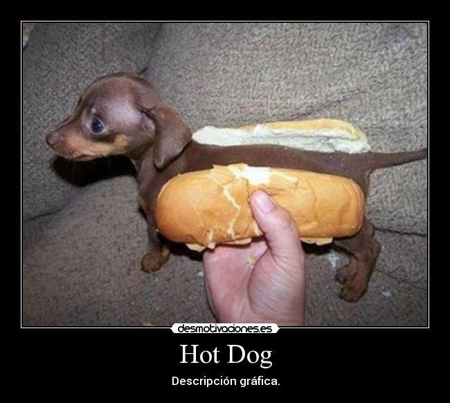 Hot Dog - Descripción gráfica.