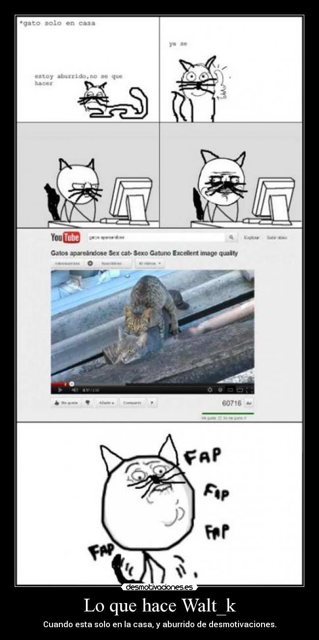 Lo que hace Walt_k - Cuando esta solo en la casa, y aburrido de desmotivaciones.