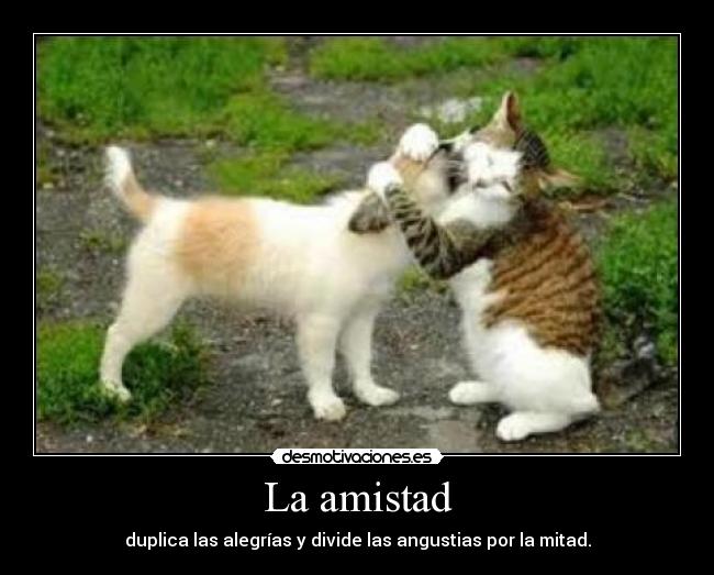 La amistad - duplica las alegrías y divide las angustias por la mitad.