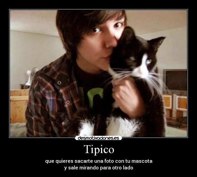 Tipico - que quieres sacarte una foto con tu mascota
y sale mirando para otro lado