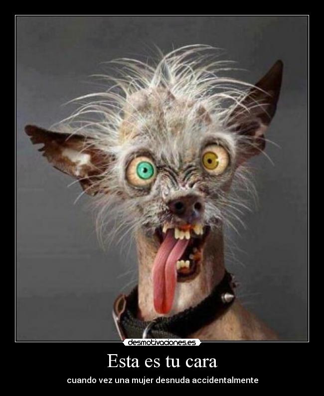 carteles truestory desmotivaciones