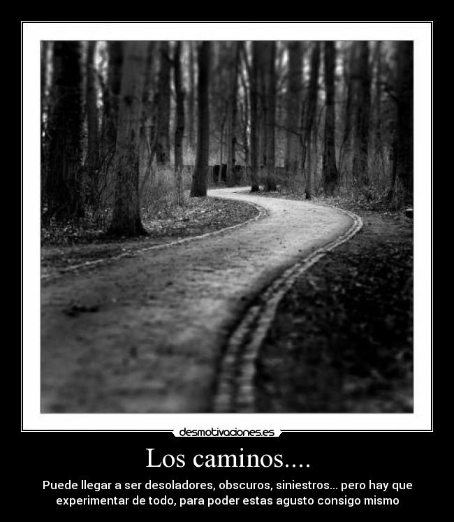 Los caminos.... - 
