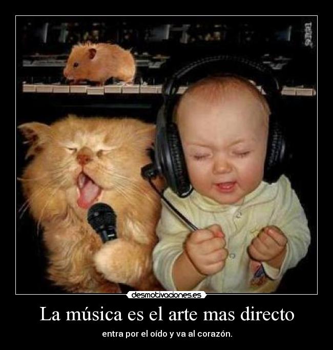 La música es el arte mas directo - entra por el oído y va al corazón.