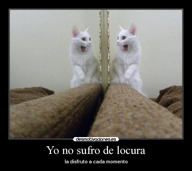 Yo no sufro de locura - la disfruto a cada momento