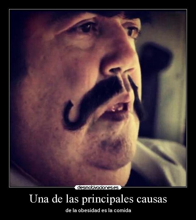Una de las principales causas - de la obesidad es la comida