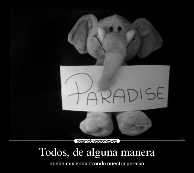 carteles know the sun will set todo rise this could para para paradise lalalallal desmotivaciones