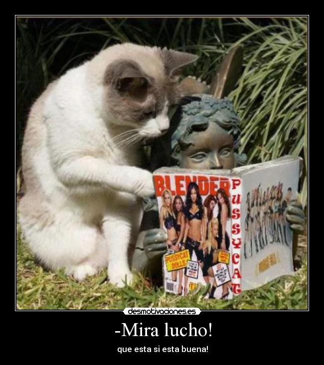 -Mira lucho! - que esta si esta buena!