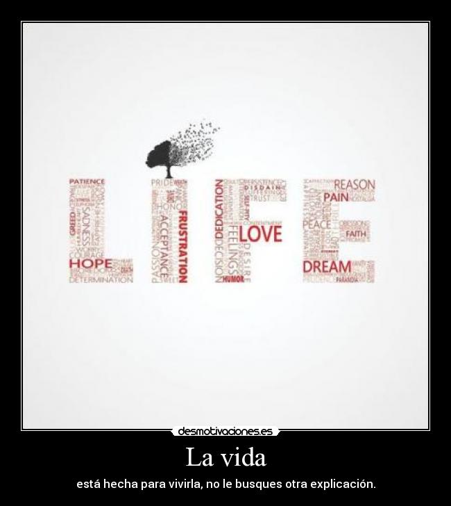 carteles vida vida explicacion desmotivaciones