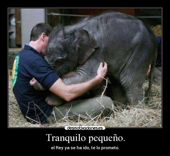 Tranquilo pequeño. -