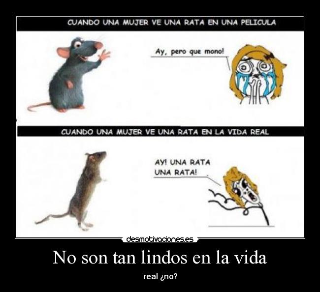 No son tan lindos en la vida -