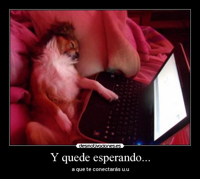Y quede esperando... -