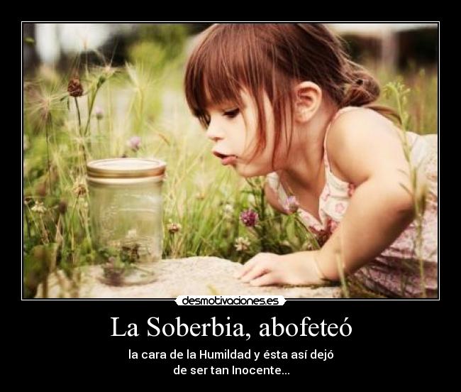 carteles soberbia abofeteo cara humildad dejo ser tan inocente elybauer carajo ironia desmotivaciones