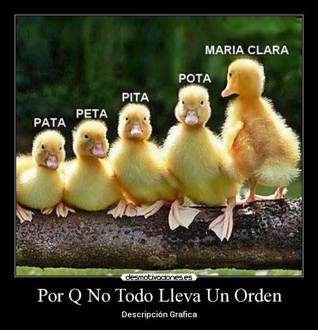 Por Q No Todo Lleva Un Orden - Descripción Grafica