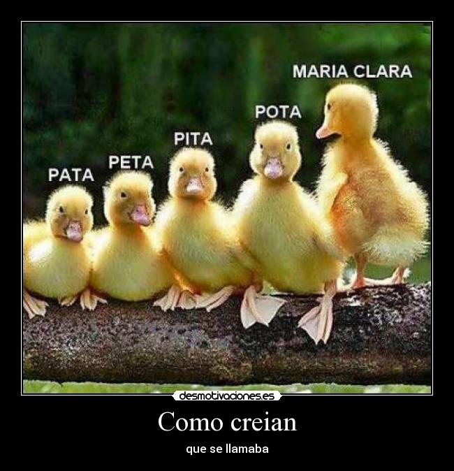 Como creian -