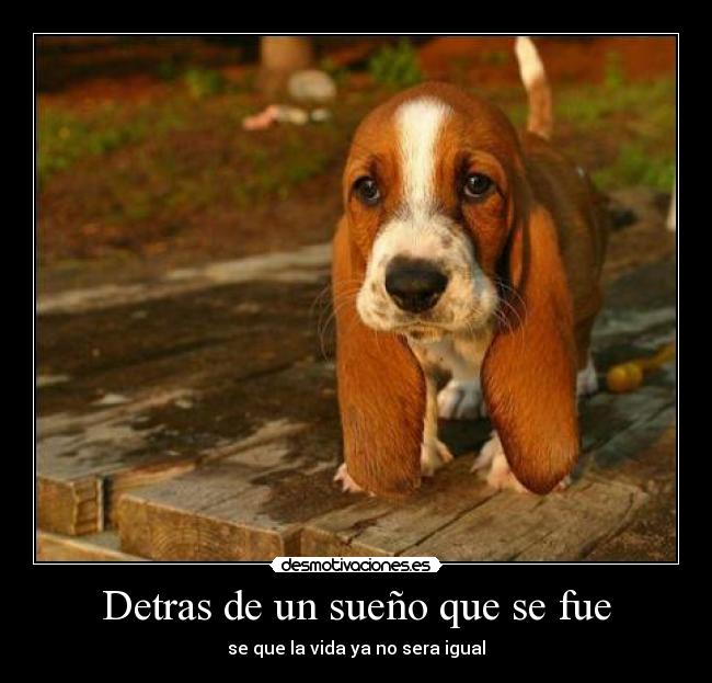 Detras de un sueño que se fue - se que la vida ya no sera igual