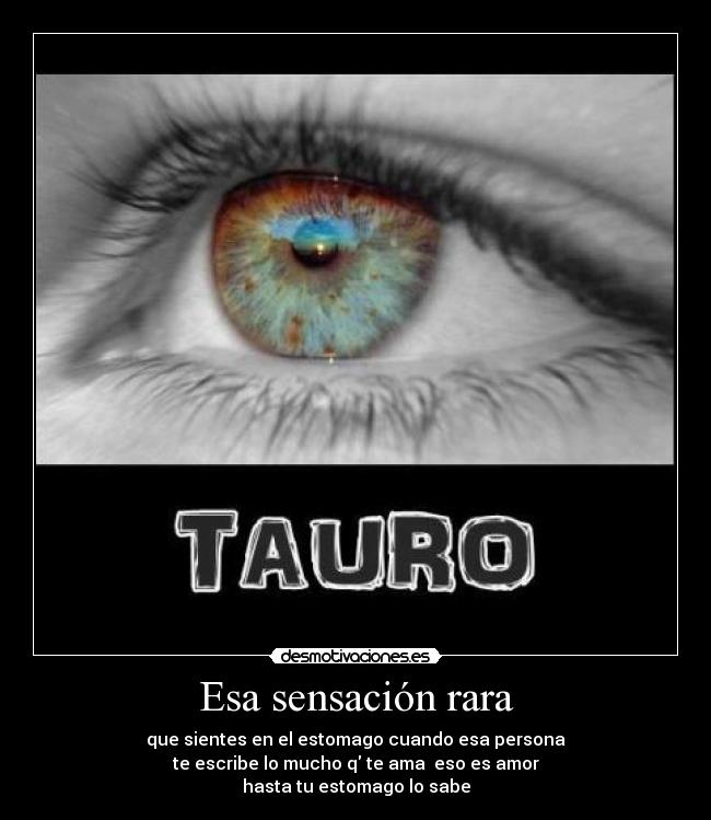 Esa sensación rara - que sientes en el estomago cuando esa persona
te escribe lo mucho q te ama eso es amor
hasta tu estomago lo sabe