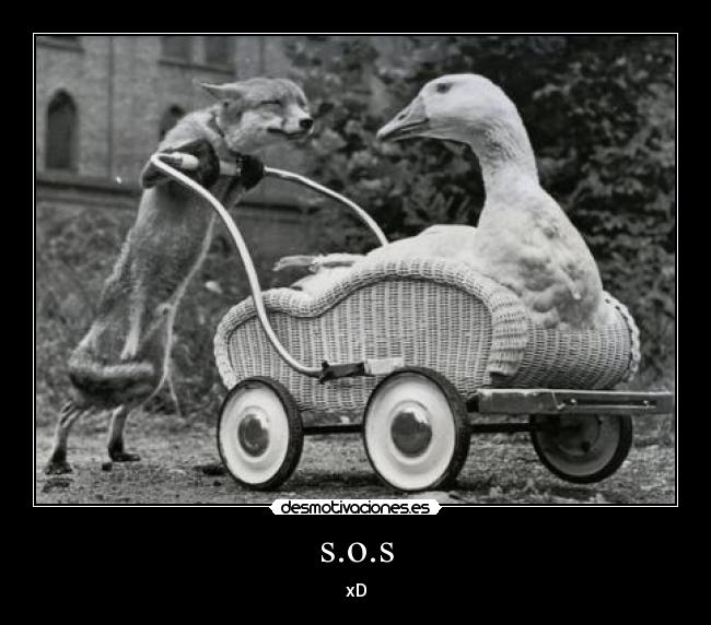 s.o.s - xD