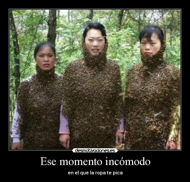 Ese momento incómodo - en el que la ropa te pica