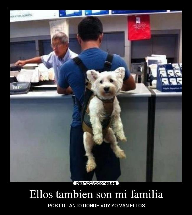 Ellos tambien son mi familia - POR LO TANTO DONDE VOY YO VAN ELLOS