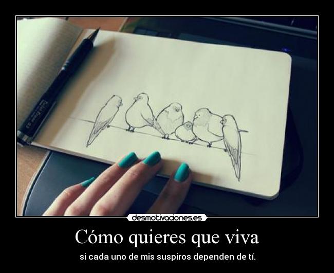 Cómo quieres que viva -