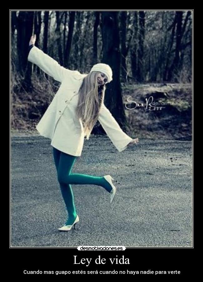 Ley de vida - Cuando mas guapo estés será cuando no haya nadie para verte