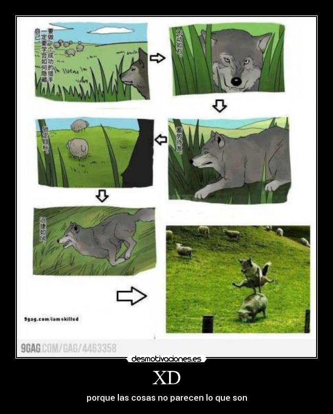 XD - porque las cosas no parecen lo que son