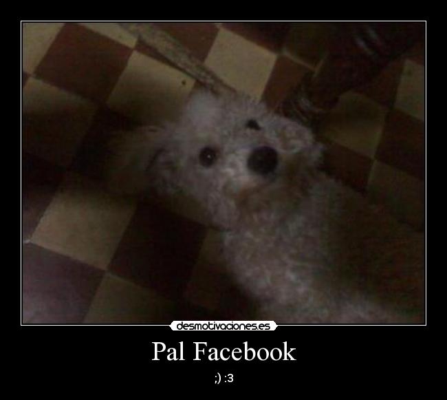 Pal Facebook - 