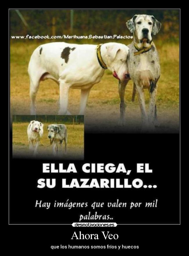 Ahora Veo - que los humanos somos fríos y huecos