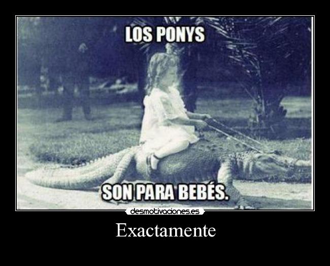 Exactamente - 