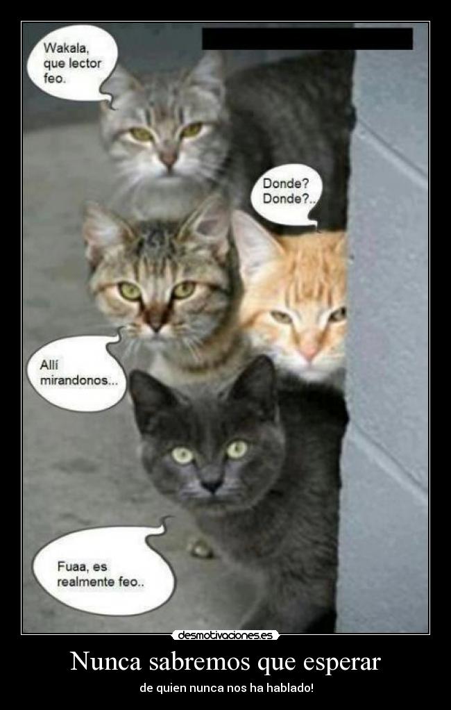 Nunca sabremos que esperar - de quien nunca nos ha hablado!