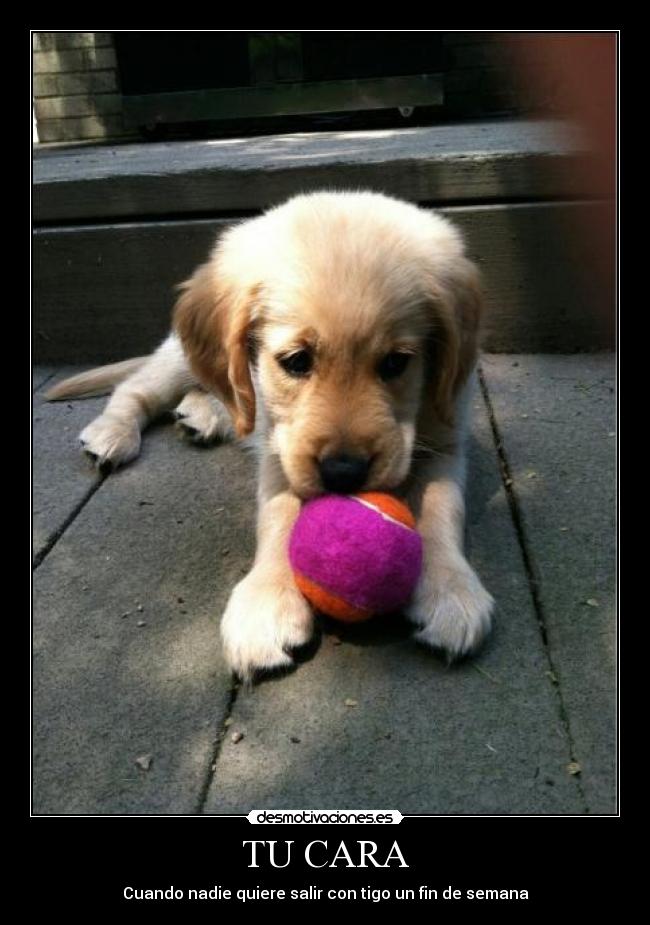 TU CARA - Cuando nadie quiere salir con tigo un fin de semana