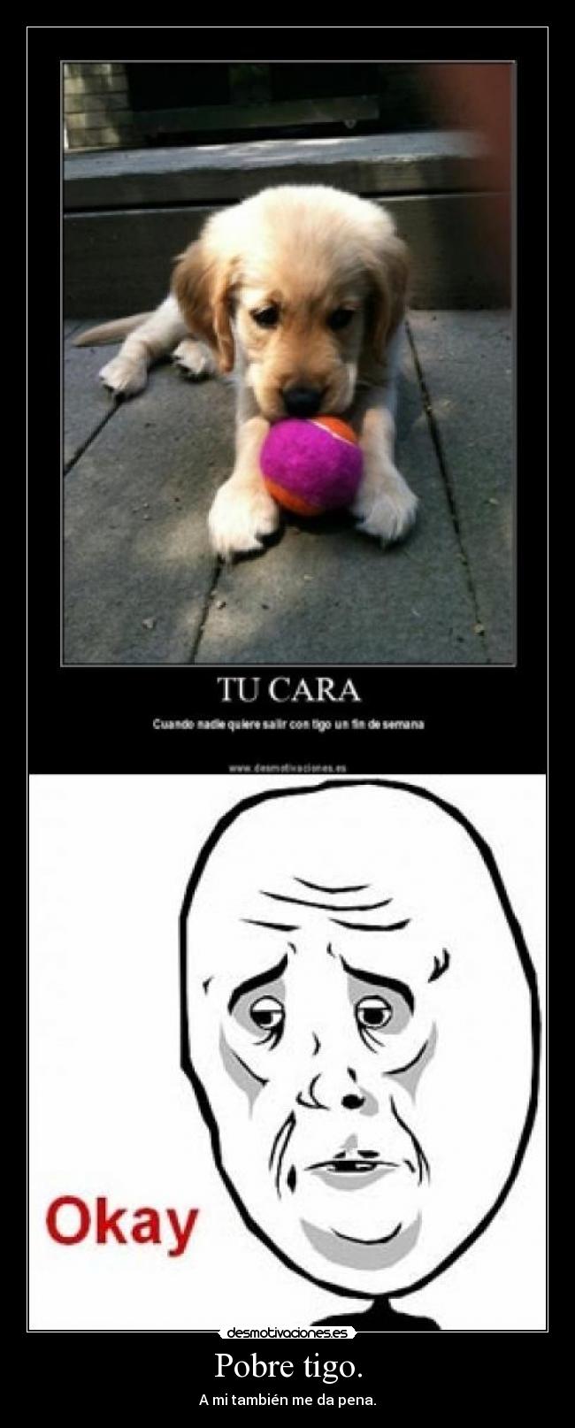 Pobre tigo. - A mi también me da pena.