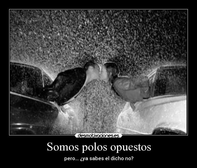 Somos polos opuestos - pero... ¿ya sabes el dicho no?