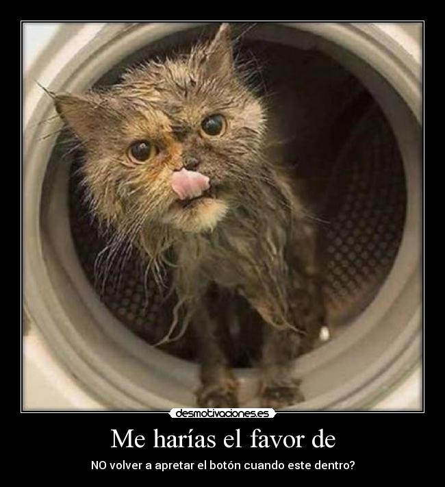 Me harías el favor de - NO volver a apretar el botón cuando este dentro?