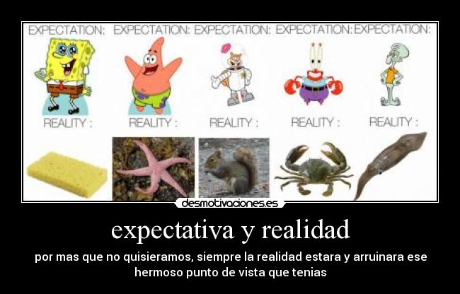 expectativa y realidad - por mas que no quisieramos, siempre la realidad estara y arruinara ese
hermoso punto de vista que tenias