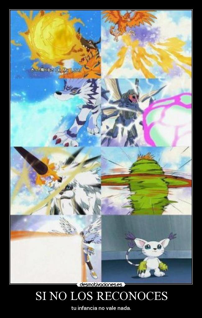 SI NO LOS RECONOCES - 