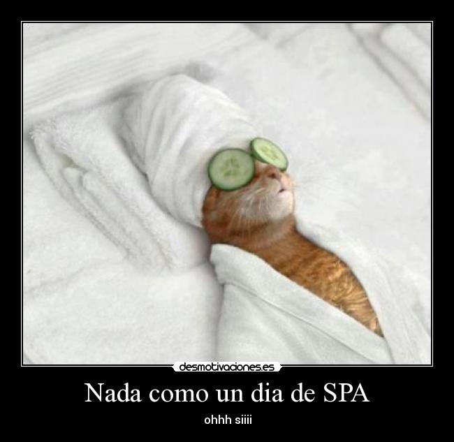 Nada como un dia de SPA -