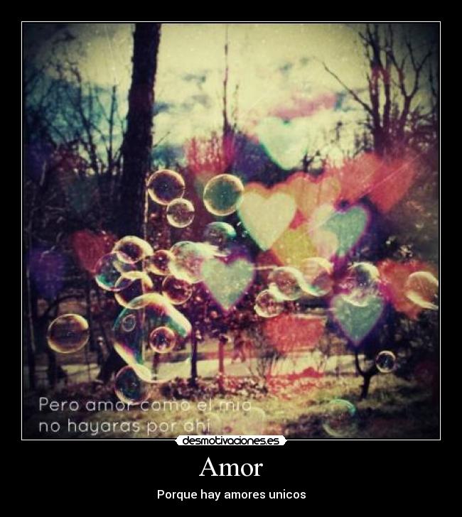 Amor - 