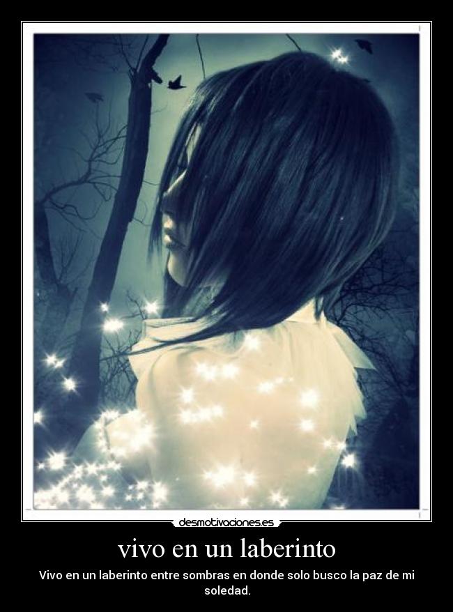 vivo en un laberinto - Vivo en un laberinto entre sombras en donde solo busco la paz de mi soledad.