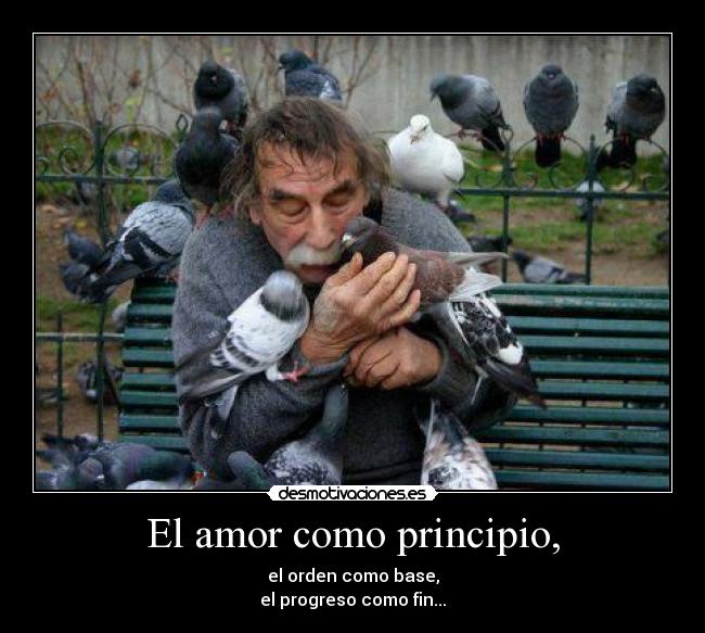 El amor como principio, -