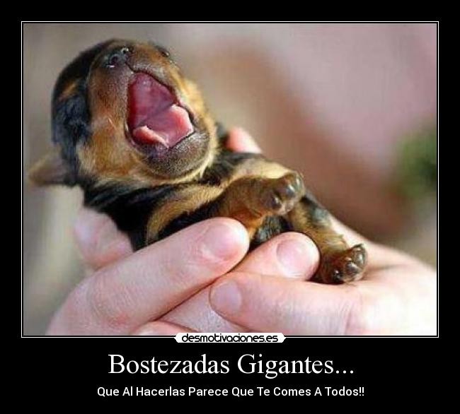 Bostezadas Gigantes... - Que Al Hacerlas Parece Que Te Comes A Todos!!