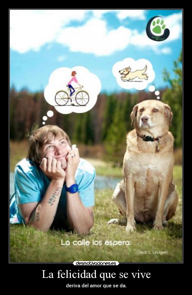 La felicidad que se vive - deriva del amor que se da.