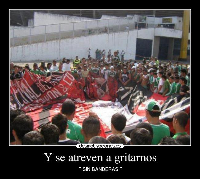 Y se atreven a gritarnos - SIN BANDERAS