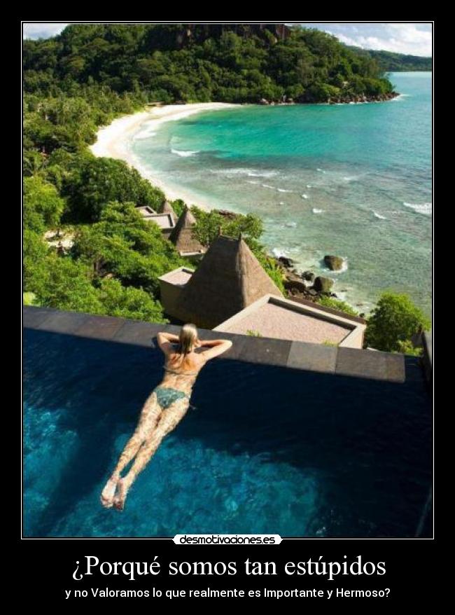 ¿Porqué somos tan estúpidos - y no Valoramos lo que realmente es Importante y Hermoso?